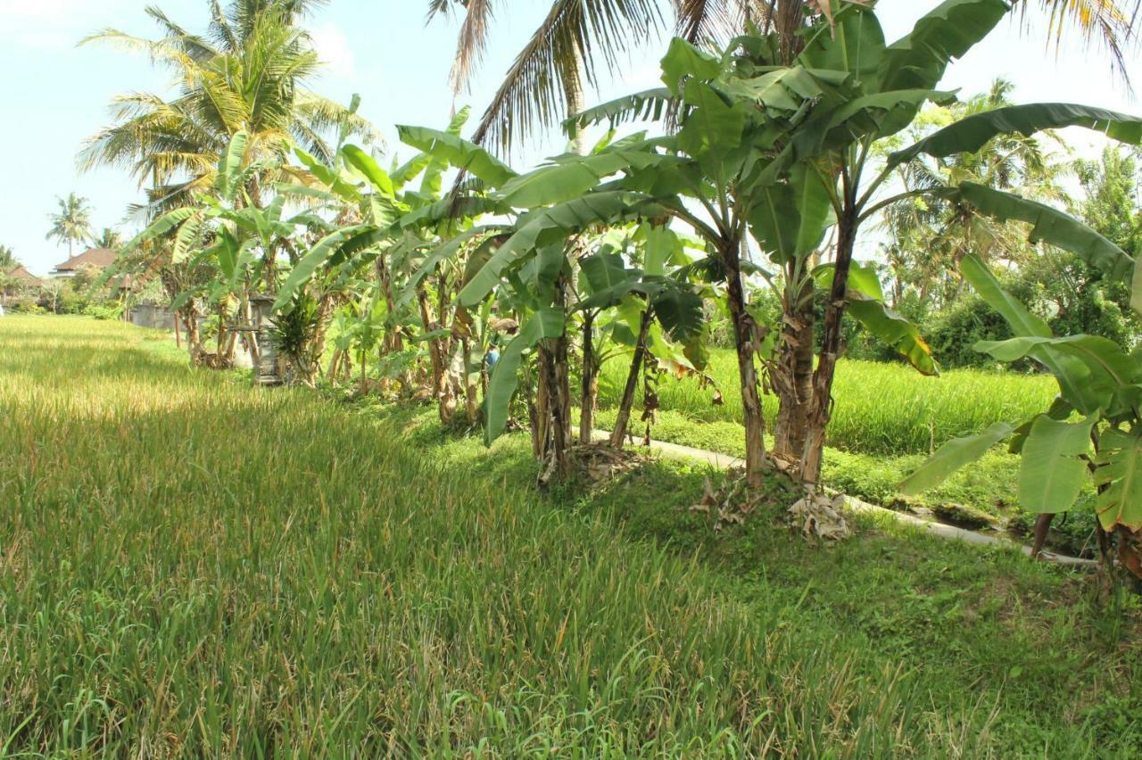 Ubud River Campuhan Villa Exteriör bild