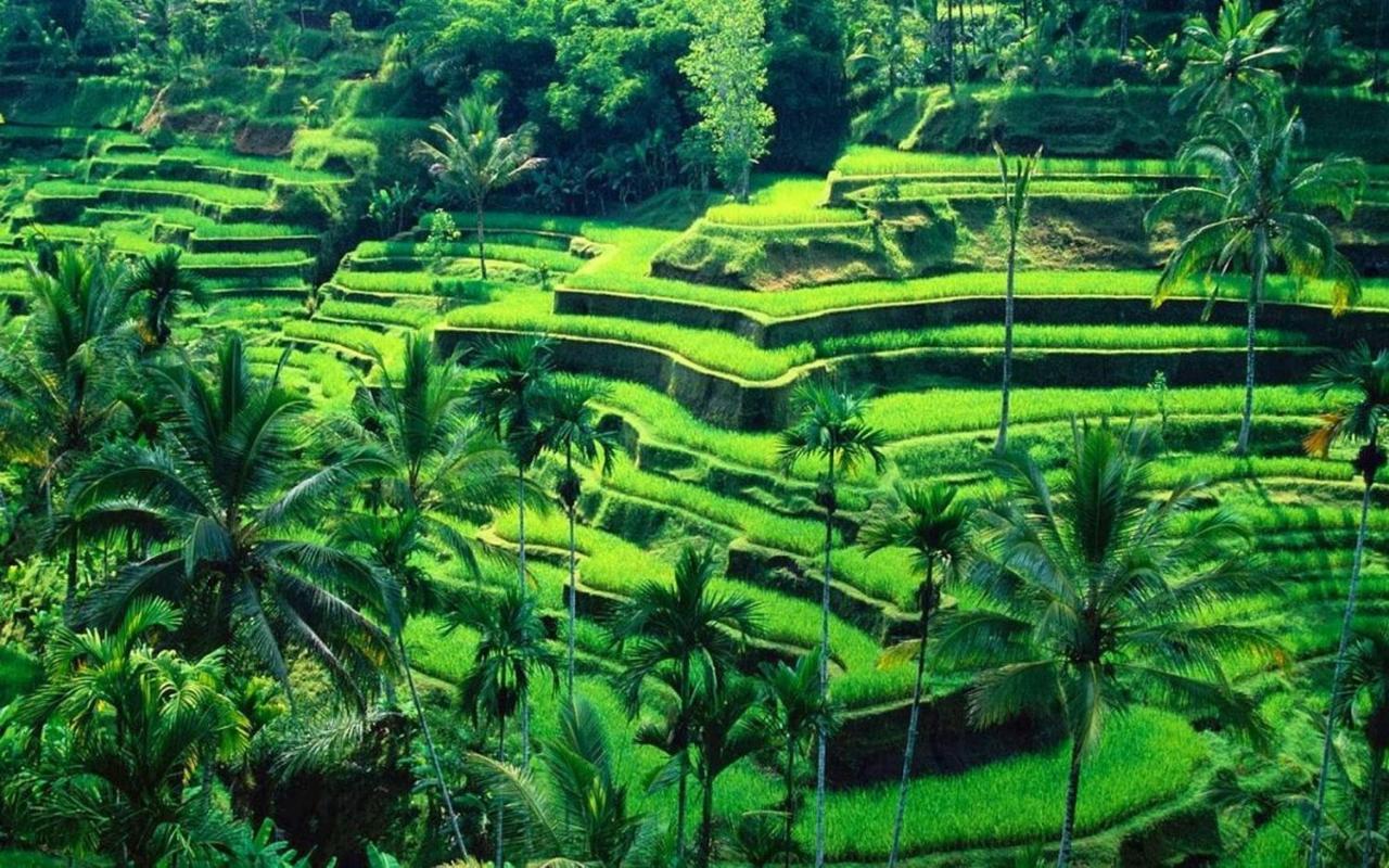 Ubud River Campuhan Villa Exteriör bild